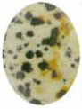 Dalmation Jasper