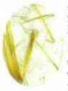 Rutilated Quartz